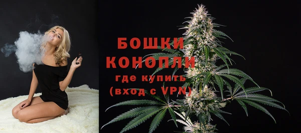 мдпв Богородск