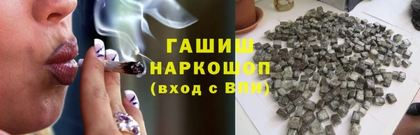 мдпв Богородск