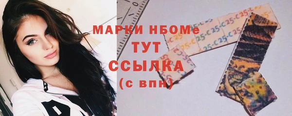 мдпв Богородск