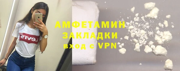 мдпв Богородск