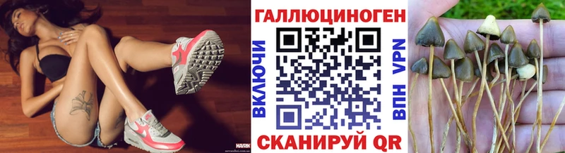 Купить закладки  Красноармейск  Псилоцибиновые грибы мицелий 